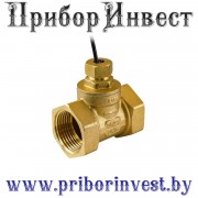 ДР-ПП-01-15, ДР-ПП-01-20, ДР-ПП-01-25, ДР-ПП-01-32, ДР-ПП-01-40, ДР-ПП-01-50 Датчик-реле потока поршневой