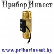 ДР-ПП-12-15 Датчик-реле потока поршневой подпружиненный