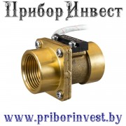 ДР-ПП-10-20 Датчик-реле потока